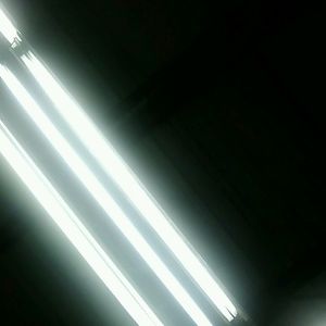 Meet your Posher, Sonja